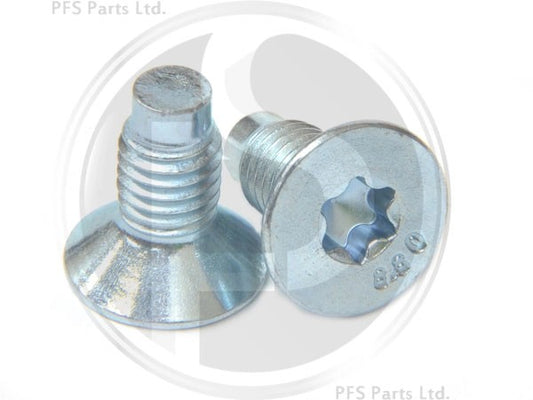 BrakeDiscScrew(Pair)
