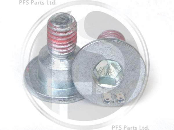 BrakeDiscScrew(Pair)