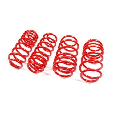 Cobra20/40mmLoweringSprings