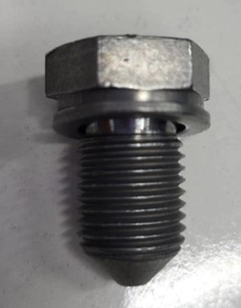 Crafter2006-2020SumpPlug&Washer