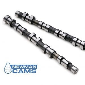 FiestaST150Phase2NewmanCams
