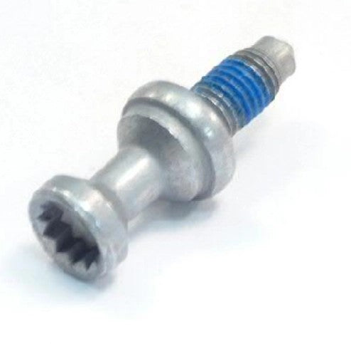 FlangeScrewforRoofRails