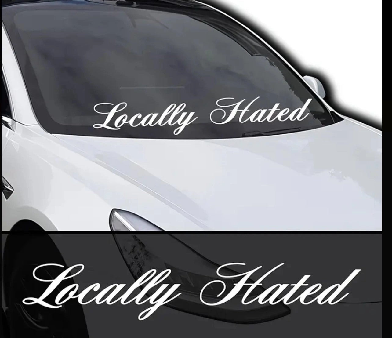 LocallyHatedVinylCarSticker(AllColours&Sizes)