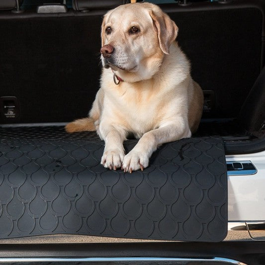 RubberBumperProtector-Small