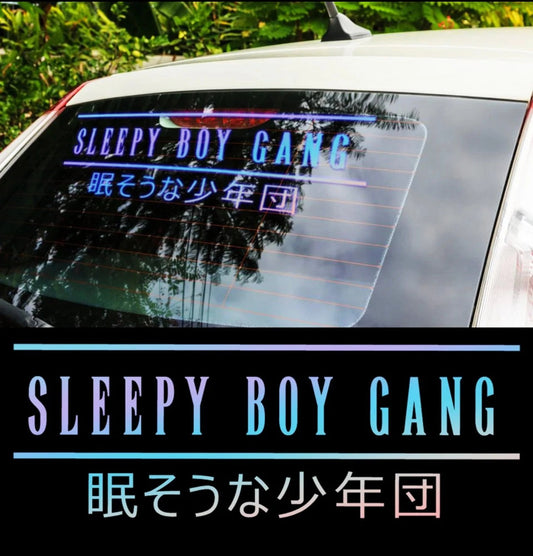 SleepyBoyGangJDMVinylCarSticker(AllColours&Sizes)